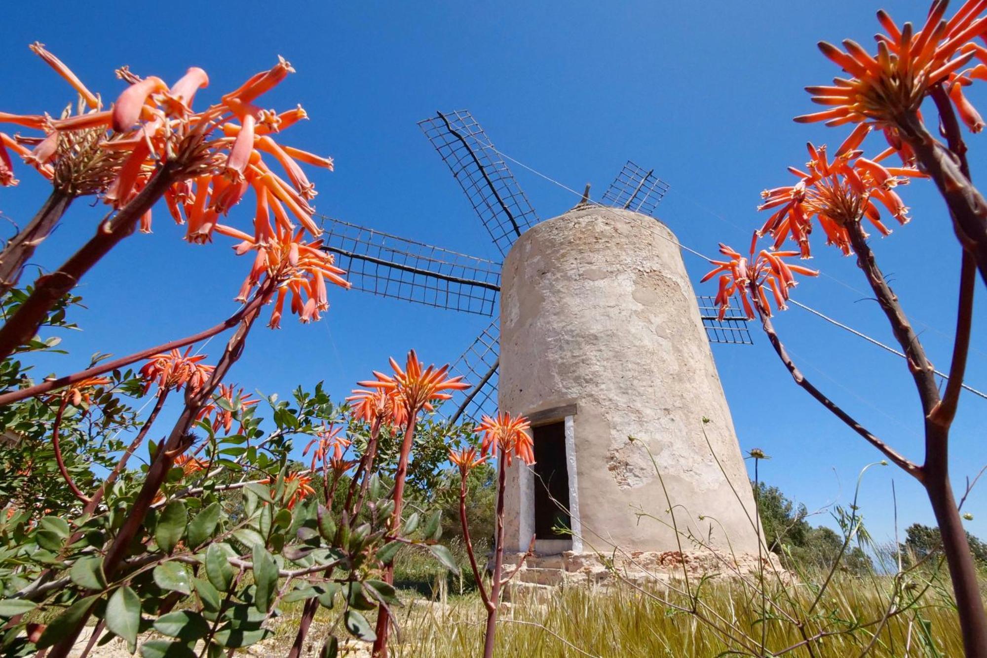 Ferienwohnung Voga Mari - Astbury Formentera Playa Migjorn Exterior foto
